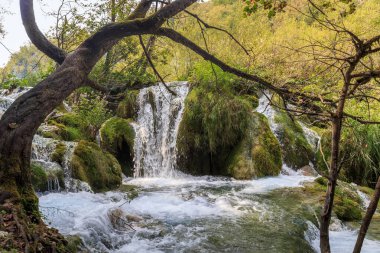 Bu sonbahar mevsiminde bir orman şelalesi..