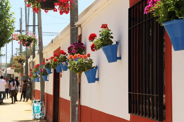 Cordoba España Mayo 2017 Estas Son Decoraciones Florales Tradicionales Con —  Fotos de Stock
