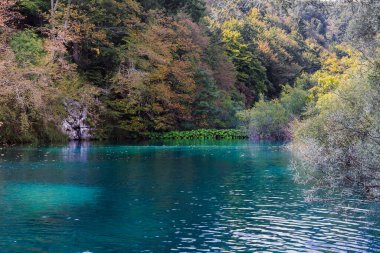 PLITVICE, CROATIA - 13 Eylül 2016: Bu sonbahar mevsiminde Plitvice Gölleri Ulusal Doğa Koruma Alanındaki göllerden birinin kıyısı.