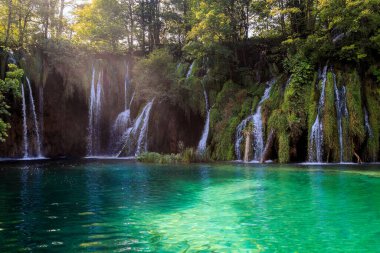 PLITVICE, CROATIA - 13 Eylül 2016: Bu, Plitvice Gölleri Ulusal Doğa Koruma Alanı 'ndaki orman yamaçlarından gelen şelaleli göllerden birinin kıyısı..
