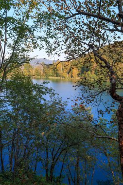 Bu, bazen sonbaharda dağlık orman bölgesindeki göl manzarası..