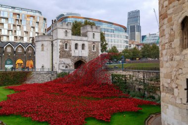 LONDON, GREAT BRITAIN - SEPTEMBER 21, 2014: This is an installation of ceramic red poppies in memory of those killed in the First World War in the moat of the Tower of London near Byward Tower.