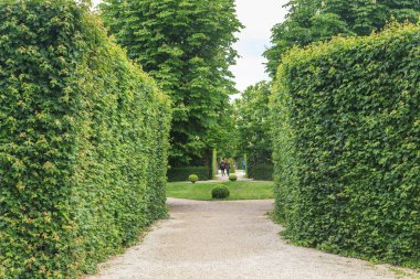 VIENNA, AUSTRIA - MAY 16, 2019: This is one of the bosquets of the Belvedere Palace Park.
