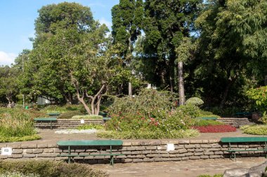 FUNCHAL, PORTUGAL - AUGUST 20, 2021: This is one of the cozy relaxation areas in the urban tropical Santa Catarina park.