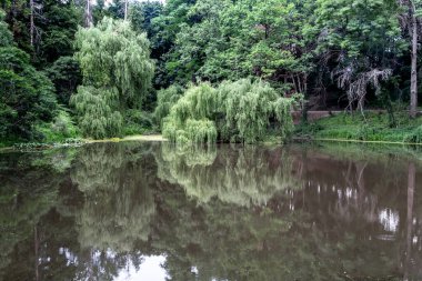 This is a small forest lake in the forest-steppe zone of eastern Ukraine.