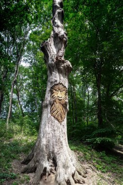 KRASNOKUTSK, UKRAINE - JULY 24, 2021: This is a painted carving based on fairy-tale motifs on the trunk of a dried tree in the dendrological park-reserve.