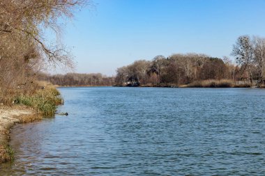 Bu, sonbaharda Ukrayna 'nın doğu kesiminde akan Seversky Donets Nehri' nin görüntüsü..