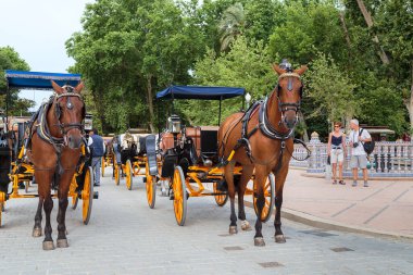 SEVILLE, SPAIN - 21 Mayıs 2017 İspanya Meydanı 'ndaki at arabalarının park yeri..