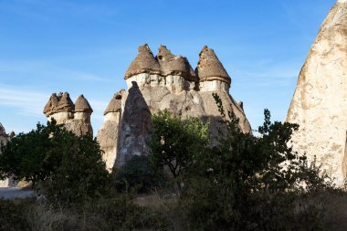 GOREME, TURKEY - 4 Ekim 2020 Kapadokya 'daki Pasaba Vadisi' nin fantastik kayalarının görüntüsü.