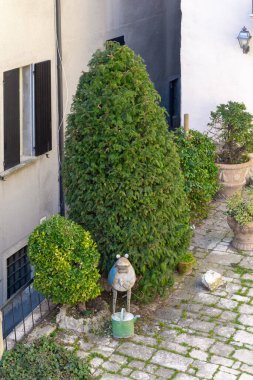 SAN MARINO, SAN MARINO - 11 MARTH 2023: Bu, şehrin sokaklarından birinin yapay olarak yeşillendirici bir köşesi, kayaların üzerinde yer alıyor..