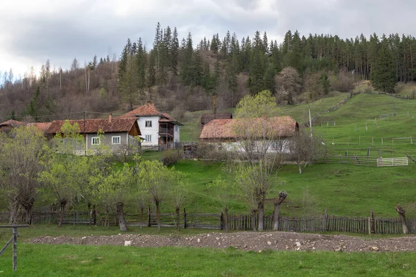 Sadova Romania April 2023 Few Buildings Small Settlement Highlands Carpathians — Stock Photo, Image