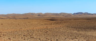 Bu, İsrail 'deki Negev Çölü' ndeki Ramon Toprak Krateri 'nin dibindeki bir manzara..
