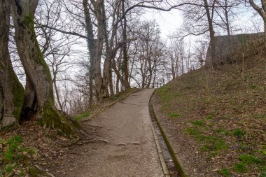 LJUBLJANA, SLOVENIA - MARTH 7, 2023: bu dağ yamacı boyunca Ljubljana Kalesi 'ne bir yaya geçidi.