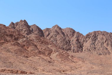 It is an erosive rock fragment set against the stony landscape of the colorful Arava Desert in Israrel.