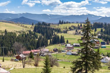 PIATRA FANTANELE, ROMANIA - 1 Mayıs 2023: Bu, Karpatların yamaçlarındaki yerleşimlerden biriyle Tihutsa Geçidi 'nin bir dağ manzarası. .