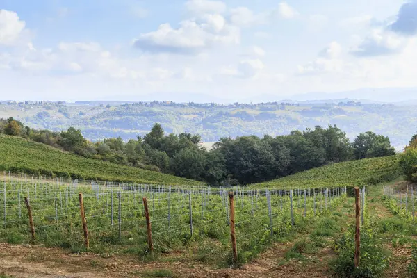 Bu Toskana 'daki tepelik Chianti Vadisi' nin manzarası, ormanlarla ve üzüm bağlarıyla kaplı..