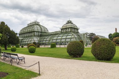 Vienna, AUSTRIA - 14 Mayıs 2019 Burası Schonbrunn Palace Park 'taki Palm House serası..