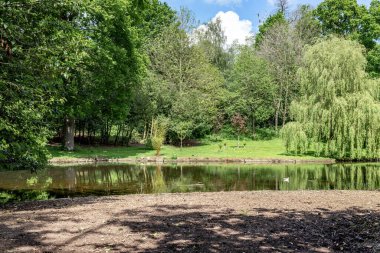 Bu yapay gölü olan tipik bir İngiliz parkının bir parçası..