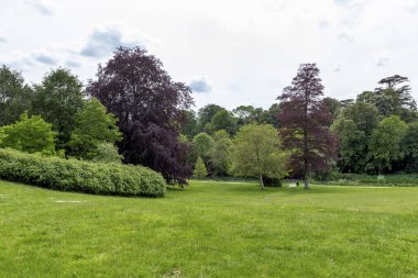 Bu, baharda tipik bir İngiliz parkının bir parçası..