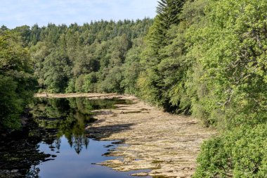 Bu, sonbaharda kayalık bir kıyısı olan bir orman nehrinin kıvrımı..