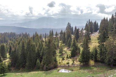 ROMANIA - 6 Mayıs 2023: Bu, Romen Bukovina 'sının Karpatlar' ın yamaçlarındaki yerleşimlerden birine sahip bir dağ manzarası.. .