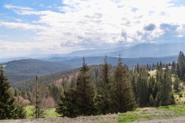 Burası Romen Bukovina 'sının manzarası..