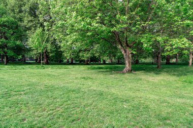 Londra 'da. GREAT BRITAIN - 17 Mayıs 2014: Başkentin merkezindeki Yeşil Park 'ın çimenlik ve bitki örtüsü.