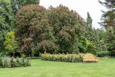 OXFORDSHIRE, GREAT BRIREIN - 21 Mayıs 2014: Bu, ilkbaharda bir İngiliz malikane parkının bir parçası.