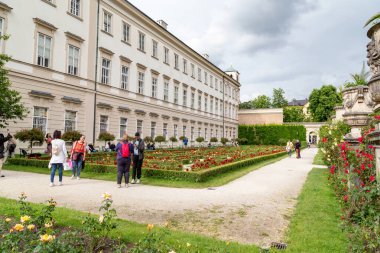 SALZBURG, AUSTRIA - 25 Mayıs 2024: Bu Mirabell Park 'taki Mirabell Sarayı' nın yan cephesindeki Gül Bahçesi.
