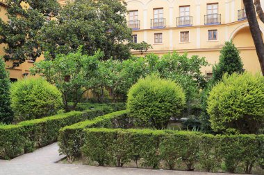 SEVILLE, SPAIN - 21 MAYIS 2017 Burası Seville Alcazar 'ın Bahçeleri Prensin Bahçesi.