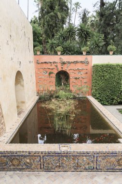 SEVILLE, SPAIN - 21 Mayıs 2017: Bu Truva Baharı ve Alcazar bahçelerindeki yapay havuz.