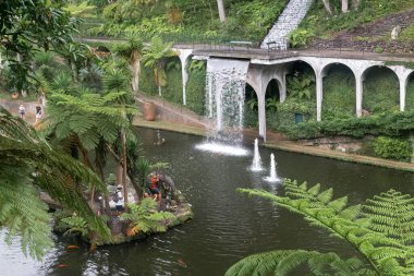 FUNCHAL, PORTUGAL - 24 AĞUSTOS 2021: Bu Monte Tropical Park 'taki yapay Central Gölü üzerindeki yapay bir şelale.