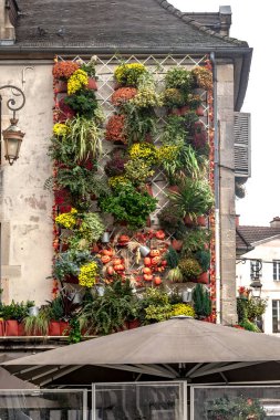 DIJON, FRANCE - 30 Ekim 2023: Bu eski kasabanın tarihi merkezinde küçük bir dikey bahçe.