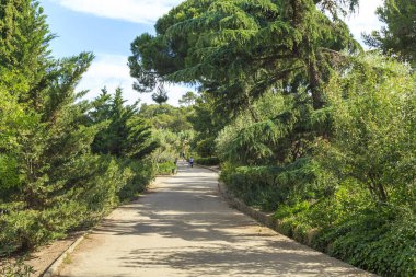 BARCELONA, İspanya - 13 Mayıs 2017: Bu Park Guell 'in yeşil gezinti alanında bir yaya geçidi.