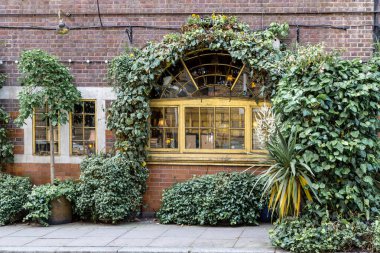 LONDON, GREAT BRITAIN - 23 Mayıs 2014: Bu şehir merkezindeki eski bir evin yeşillik cephesinin bir parçası.