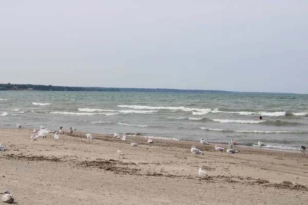 Woodland Beach Sul Lago Erie Buffalo — Foto Stock