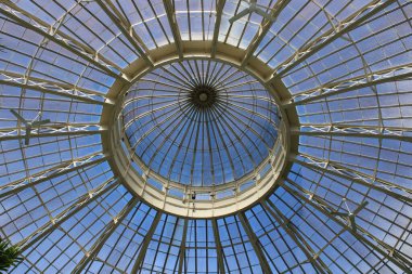 Buffalo New York Botanik Bahçeleri. 