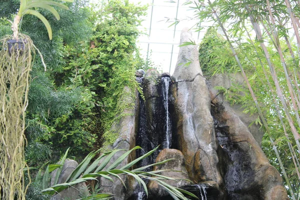 Waterfall In A Tropical Indoor Garden