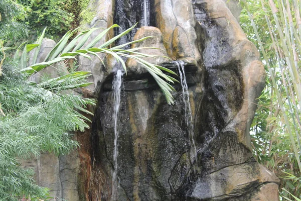 热带室内花园的瀑布 — 图库照片