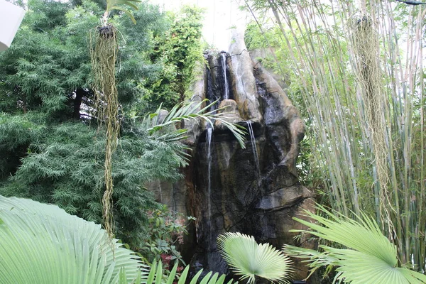Cascade Dans Jardin Tropical Intérieur — Photo