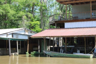 Bal Adası Bataklık Teknesi Turu 'ndaki İnci Nehri manzarası. 