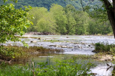 Charles Town WV 'deki Shannondoah Nehri çevresindeki manzara.. 