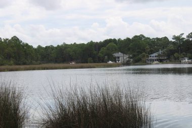 Milton Florida 'nın bataklıkları Hint Bataklığı' nda. 