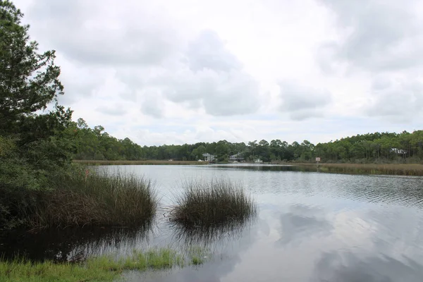 Terras Húmidas Milton Florida Indian Bayou — Fotografia de Stock