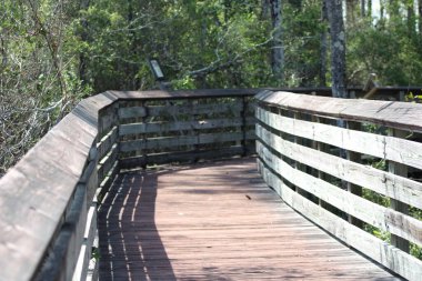 Tarkiln Bayou 'daki Boardwalk Pensacola Florida, ABD' deki State Park 'ı koruyor.