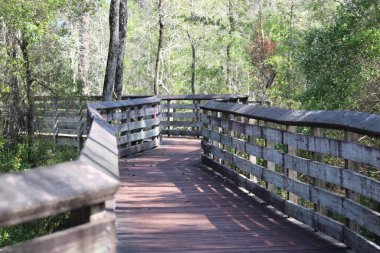 Tarkiln Bayou 'daki Boardwalk Pensacola Florida, ABD' deki State Park 'ı koruyor.
