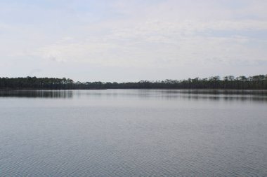 Pensacola Florida 'daki Tarkiln Bayou Parkı çevresindeki manzara. 