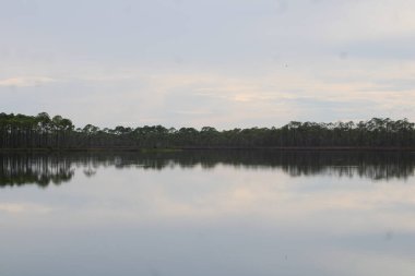 Pensacola Florida 'daki Tarkiln Bayou Parkı çevresindeki manzara. 