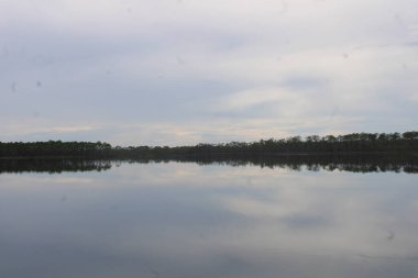 Pensacola Florida 'daki Tarkiln Bayou Parkı çevresindeki manzara. 