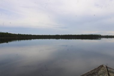 Pensacola Florida 'daki Tarkiln Bayou Parkı çevresindeki manzara. 